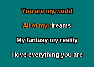 You are my world
All of my dreams

My fantasy my reality

I love everything you are