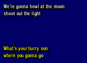 We're gonna howl at the moon
shoot out the light

What's your hurry son
where you gonna go