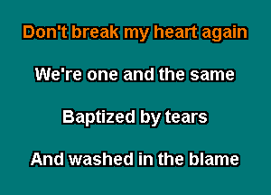 Don't break my heart again
We're one and the same
Baptized by tears

And washed in the blame