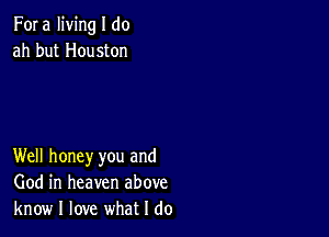 Fora living I do
ah but Houston

Well honey you and
God in heaven above
know I love what I do