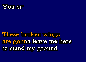 These broken wings
are gonna leave me here
to stand my ground