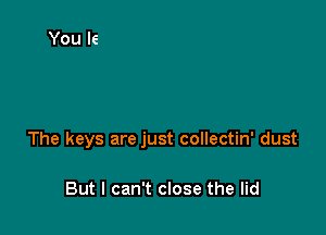 The keys are just collectin' dust

But I can't close the lid