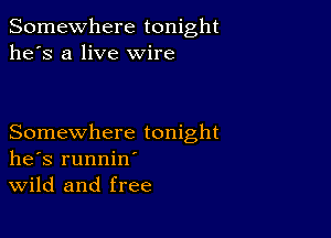 Somewhere tonight
he's a live wire

Somewhere tonight
he's runnin'
Wild and free