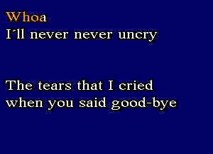 XVhoa
I'll never never uncry

The tears that I cried
When you said good-bye