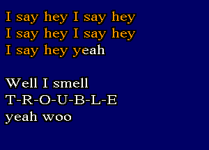 I say hey I say hey
I say hey I say hey
I say hey yeah

XVell I smell
T-R-O-U-B-L-E
yeah woo