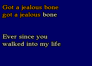 Got a jealous bone
got a jealous bone

Ever since you
walked into my life