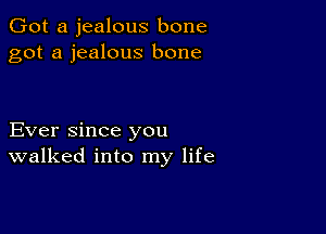 Got a jealous bone
got a jealous bone

Ever since you
walked into my life