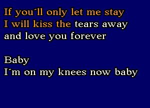 If you'll only let me stay
I will kiss the tears away
and love you forever

Baby
I'm on my knees now baby