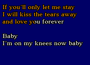 If you'll only let me stay
I will kiss the tears away
and love you forever

Baby
I'm on my knees now baby