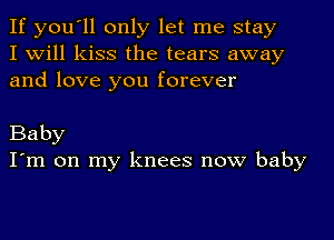 If you'll only let me stay
I will kiss the tears away
and love you forever

Baby
I'm on my knees now baby