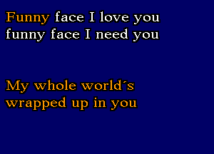 Funny face I love you
funny face I need you

My whole world's
wrapped up in you