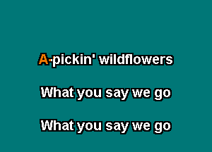 A-pickin' wildflowers

What you say we go

What you say we go