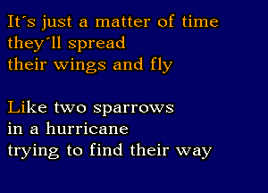 It's just a matter of time
they'll spread
their wings and fly

Like two sparrows
in a hurricane
trying to find their way