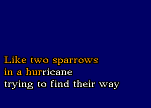 Like two sparrows
in a hurricane
trying to find their way