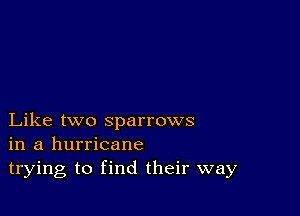 Like two sparrows
in a hurricane
trying to find their way