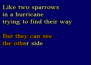 Like two Sparrows
in a hurricane
trying to find their way

But they can see
the other side