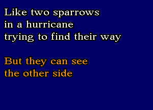 Like two Sparrows
in a hurricane
trying to find their way

But they can see
the other side