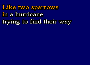 Like two Sparrows
in a hurricane
trying to find their way