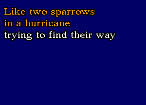 Like two Sparrows
in a hurricane
trying to find their way