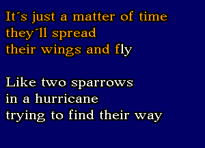 It's just a matter of time
they'll spread
their wings and fly

Like two sparrows
in a hurricane
trying to find their way