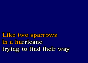 Like two sparrows
in a hurricane
trying to find their way