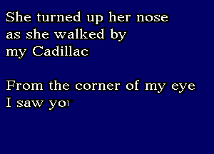 She turned up her nose
as she walked by
my Cadillac

From the corner of my eye
I saw yor