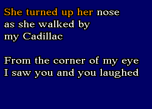 She turned up her nose
as she walked by
my Cadillac

From the corner of my eye
I saw you and you laughed