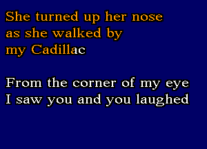 She turned up her nose
as she walked by
my Cadillac

From the corner of my eye
I saw you and you laughed