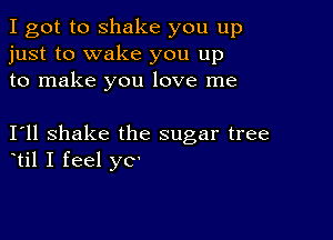 I got to shake you up
just to wake you up
to make you love me

111 shake the sugar tree
otil I feel yC'