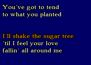 You've got to tend
to what you planted

I11 shake the sugar tree
til I feel your love
fallin' all around me