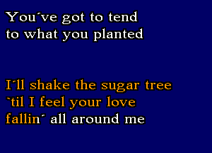 You've got to tend
to what you planted

I11 shake the sugar tree
til I feel your love
fallin' all around me