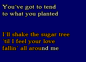 You've got to tend
to what you planted

I11 shake the sugar tree
til I feel your love
fallin' all around me