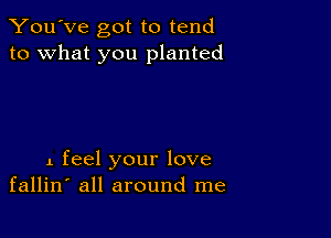 You've got to tend
to what you planted

1 feel your love
fallin' all around me