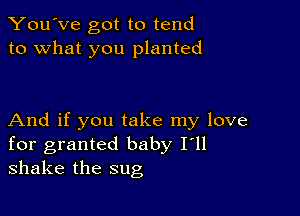 You've got to tend
to what you planted

And if you take my love
for granted baby I'll
shake the sug