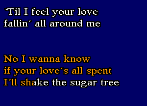 Ti1 I feel your love
fallin' all around me

No I wanna know
if your love's all spent
I'll shake the sugar tree