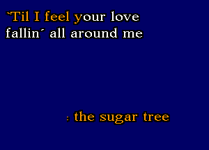 Ti1 I feel your love
fallin' all around me

2 the sugar tree