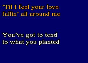 Ti1 I feel your love
fallin' all around me

You've got to tend
to what you planted