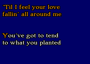 Ti1 I feel your love
fallin' all around me

You've got to tend
to what you planted