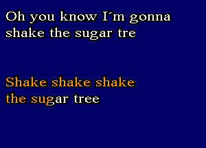 Oh you know I'm gonna
shake the sugar tre

Shake shake shake
the sugar tree