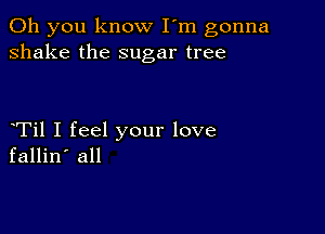 Oh you know I'm gonna
shake the sugar tree

Til I feel your love
fallin' all