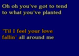 Oh oh you've got to tend
to what you ve planted

Til I feel your love
fallin' all around me