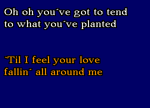 Oh oh you've got to tend
to what you ve planted

Til I feel your love
fallin' all around me