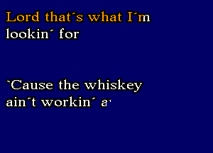 Lord that's what I m
lookin' for

Cause the whiskey
ain't workin' a'