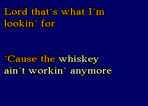 Lord that's what I m
lookin' for

Cause the whiskey
ain't workin' anymore