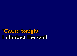 Cause tonight
I climbed the wall