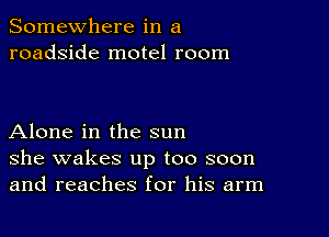 Somewhere in a
roadside motel room

Alone in the sun
she wakes up too soon
and reaches for his arm