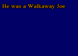 He was a XValkaway Joe