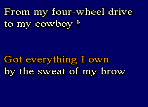 From my four-wheel drive
to my cowboy t

Got everything I own
by the sweat of my brow