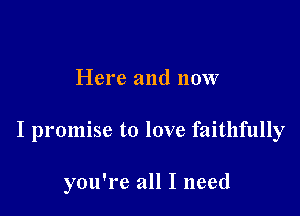 Here and now

I promise to love faithfully

you're all I need