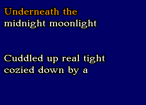 Underneath the
midnight moonlight

Cuddled up real tight
cozied down by a